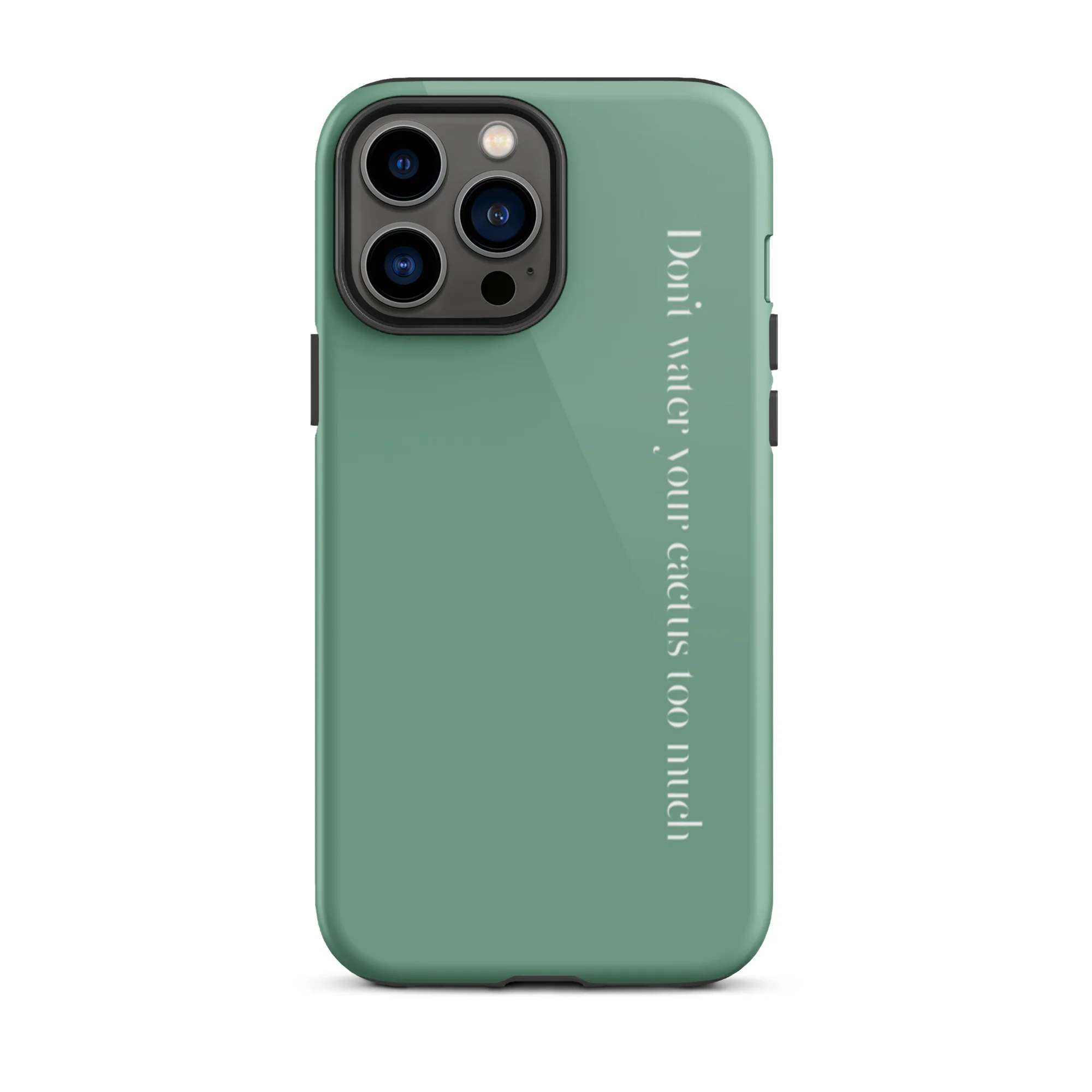 Water Your Cactus iPhone Case - Image 27